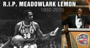 meadowlark