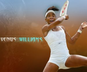 Venus Williams wallpaper 2014.jpeg