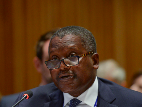 The Dangote Group, The Federal Government And Others Sign $1.1BN Pact For 540MW Plant